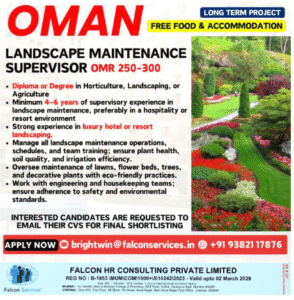 Dream Job in Oman for Landscape Enthusiasts! Free Food & Accommodation Provided! 🇴🇲🌿
